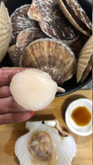 帆立のお刺し身