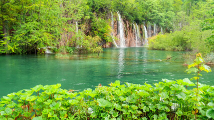 waterfall and attractive foliage at plitvice lakes national park