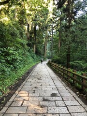 高尾山の登山道
