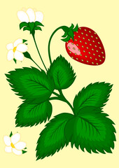 Strawberry berries on the bush - vertical illustration.