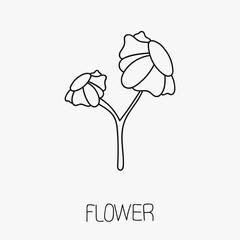 Flower flat thin icon vector isolated on white background. Floral luxury symbol in isolation, plant sign for ecology