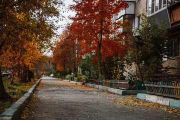 Naklejka premium Deserted autumn street of a residential area, leaf fall and bright leaves on tree branches