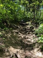 定山渓天狗岳の登山道