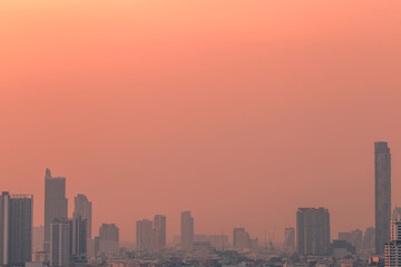 A blurred abstract background view of the rising sun, the horizon and the constantly blowing leaves of the trees, the ecological beauty that spontaneously occurs during the day.