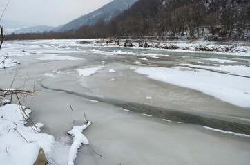 mountain river in wintertime. carpathian landscape with spruce forest and snow covered shore ukraine