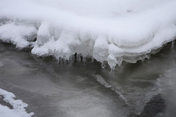 mountain river in wintertime. carpathian landscape with spruce forest and snow covered shore ukraine