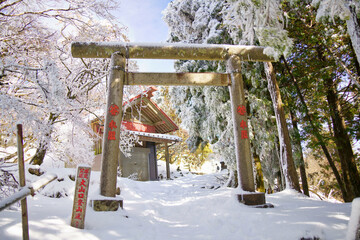 冬の大山阿夫利神社前の鳥居