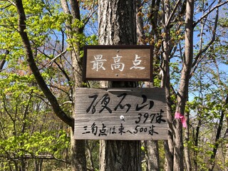 硬石山山頂