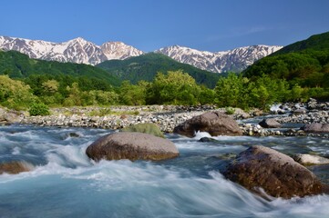 北アルプスの麓 白馬村　新緑の季節　　　 © sada