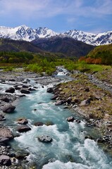 北アルプスの麓 白馬村　新緑の季節　　　