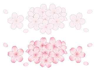 Fototapeta na wymiar 桜の花束のイラストセット デッサン風の線画とシンプルな手描きの線画