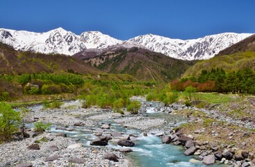 北アルプスの麓 白馬村　新緑の季節　　　