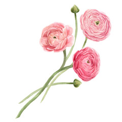 Fototapeta premium Beautiful floral composition with watercolor gentle red summer flowers. Stock bouquet illustration.