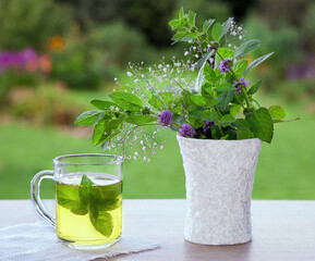 Herbal tea with fresh mint in a glass cup