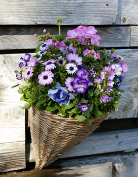 Hanging Flower Basket 