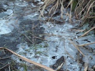凍った水たまり