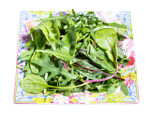 mix of assorted small young salad greens on decorative square plate isolated on white background