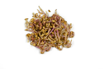 Group of broken off sprouts of raw potato on white background.