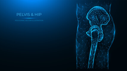 Polygonal vector illustration of the human pelvis and hip joint side view. Human thigh made of dots and lines isolated on dark blue background. - obrazy, fototapety, plakaty