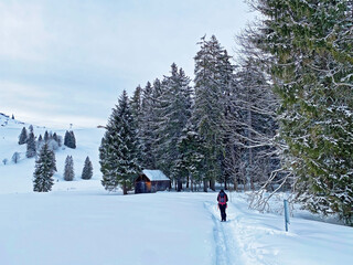 Hikers and walkers on the beautiful idyllic fresh snow of the Churfirsten mountain range and in the...