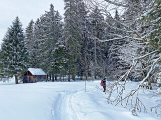 Hikers and walkers on the beautiful idyllic fresh snow of the Churfirsten mountain range and in the...