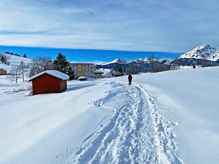 Hikers and walkers on the beautiful idyllic fresh snow of the Churfirsten mountain range and in the...