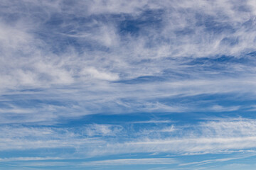 Fototapeta premium High white cirrus clouds with cirro-stratus in a light blue sky, sometimes called chair tails, indicate nice weather, but stormy changes come within a few days. White clouds in a blue sky. 