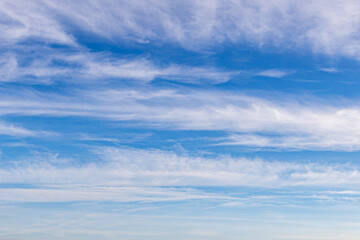 High white cirrus clouds with cirro-stratus in a light blue sky, sometimes called chair tails, indicate nice weather, but stormy changes come within a few days. White clouds in a blue sky.  - obrazy, fototapety, plakaty