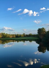 reflection of trees in water