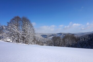 Beautiful winter landscape with a snow, trees and blue sky