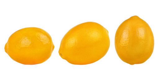 Vue latérale des citrons sur blanc. Ensemble de fruits au citron.