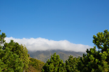 Fototapeta na wymiar A large white cloud lies on the mountain