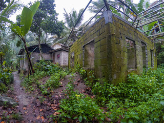 Green mossy abandoned house in tropical jungle. Asian forest travel fisheye photo. Wild jungle hiking travel. Rain season natural landscape. Natural disaster in rustic village. Weathered house debris