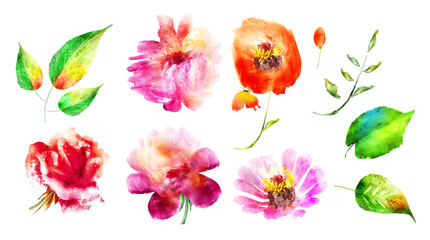 Watercolor flowers and leafs, isolated on white background. Set