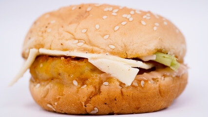 Burger food, junk food isolated white background