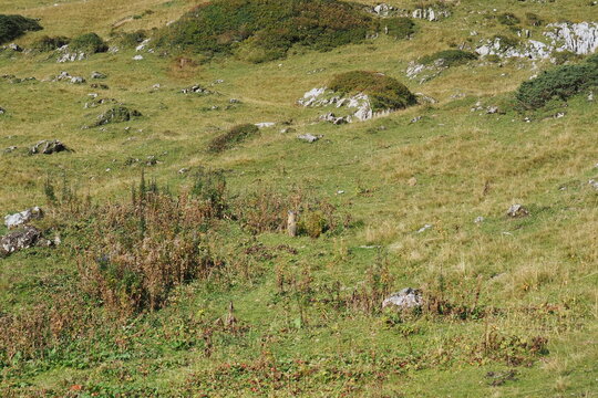Lechtaler Alpen Spullen See bis Zug