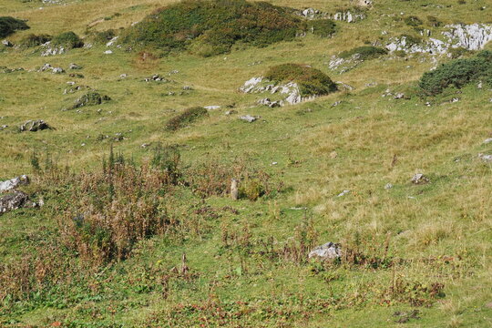 Lechtaler Alpen Spullen See bis Zug