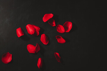 Scattered red rose petals With black background cruel dark valentines day concept - obrazy, fototapety, plakaty