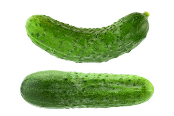 Cucumber vegetable
