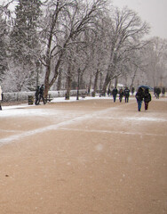 people walking on park near lake and beautiful views between trees and snowfall