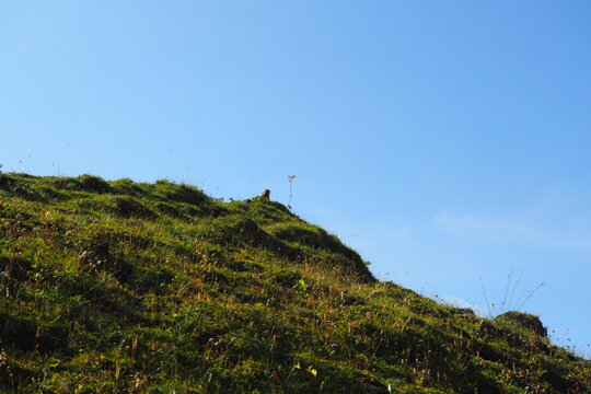 Lechtaler Alpen Spullen See bis Zug