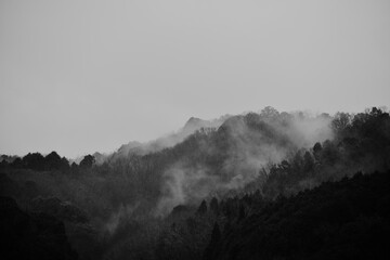 山の靄（モノクロ）