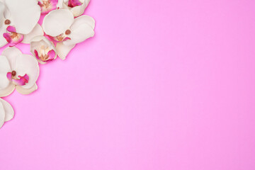Fototapeta na wymiar Empty frame with flowers on pink pastel background with copy space