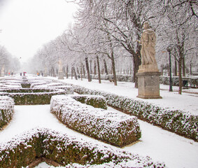 green plants below a wight snowfall in a park