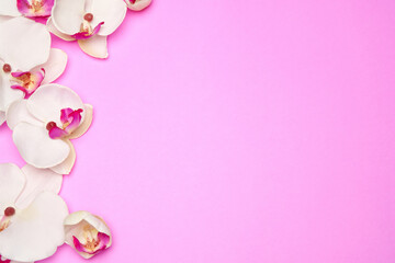 Empty frame with flowers on pink pastel background with copy space