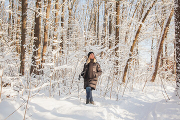 Woman in winter pine forest with snow on trees and floor in sunny day