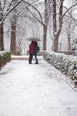 Fototapeta na wymiar hug of tow lovers below an umbrella at park during snowfall with trees and green plants