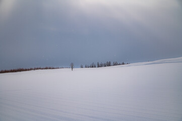 深海の底のような美瑛の雪景色