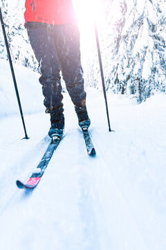 Cross-country skiing. Person in motion through a skiing slope in a winter wonderland on a bright sunny day.
