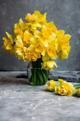 Bouquet of yellow daffodils on a dark background